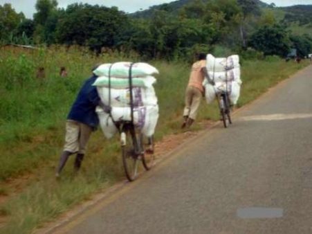 mealie-meal