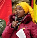 Bananas thrown at black Italian minister during speech