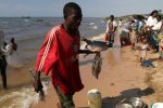 Mweru Lake fish