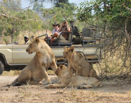 Lower Zambezi National Park