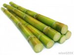 What is Sugar Cane Ethanol