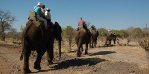 2 Nights – The River Club (Zambia)