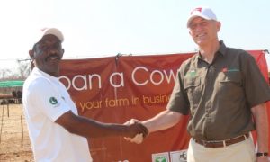 2 'Loan a Cow' beneficiary Chibombo farmer Gillard Shakete shaking hands with ZANACO CEO Bruce Dick
