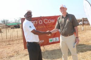 3 'Loan a Cow' beneficiary Chibombo farmer Gillard Shakete shaking hands with ZANACO CEO Bruce Dick