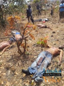 A combined team of the Zambia and Tanzanian police officers picking dead bodies of 7 men suspected to be Tanzanians found dumped in a bush in Yolo Village, 500 metres from the Tanzanian / Zambia border on Friday last week. Picture by Jonathan Mukuka