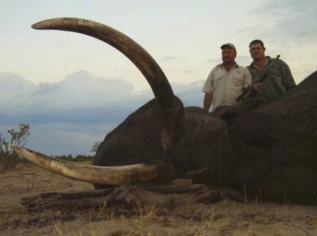 Mozambique Elephant hunt