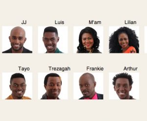 Big Brother Africa Hotshots housemates