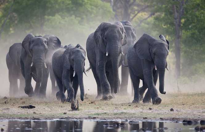 Hwange National Park