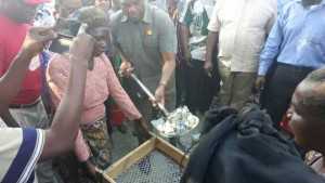 HH, GBM Grey Mountain Luanshya