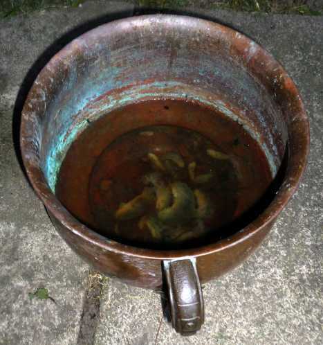 chamber pot